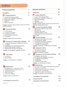 segundo modulo 2 indice